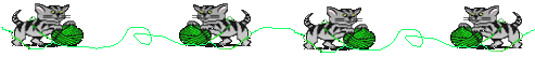 Kittenlinie2