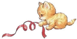 katze10